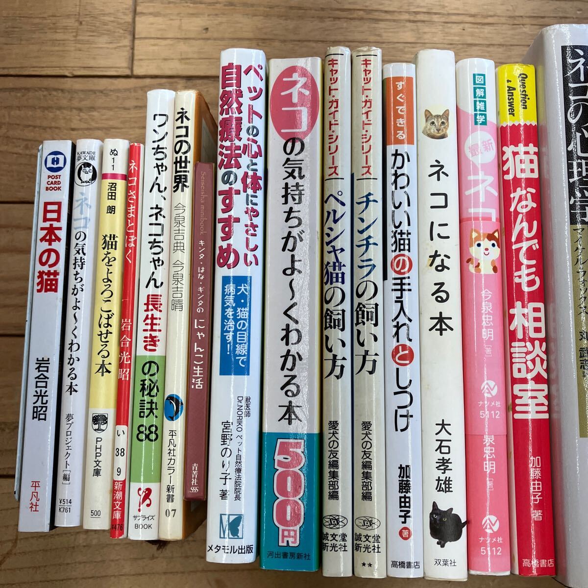 SB-ш/ 猫関連本 不揃い24冊まとめ 猫なんでも相談室 かわいい猫の育て方と手入れ かわいい猫との暮らし方・しつけ方 ネコの心理学 他_画像3