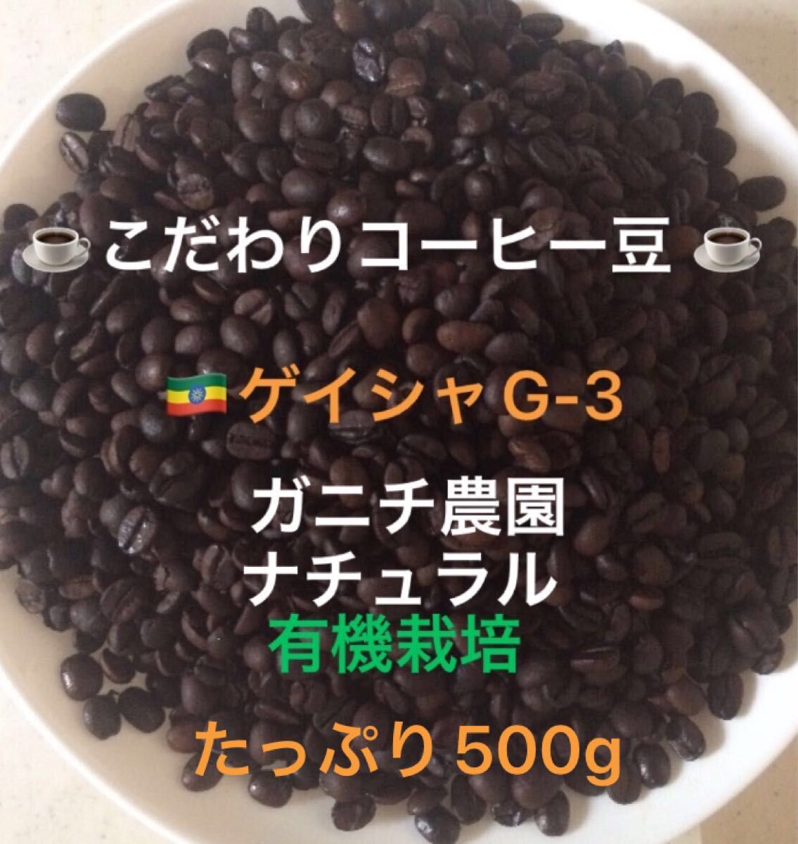 こだわりコーヒー豆　モカゲイシャG-3 500g 中深煎り　自家焙煎珈琲　ガニチ農園　有機栽培　ナチュラル