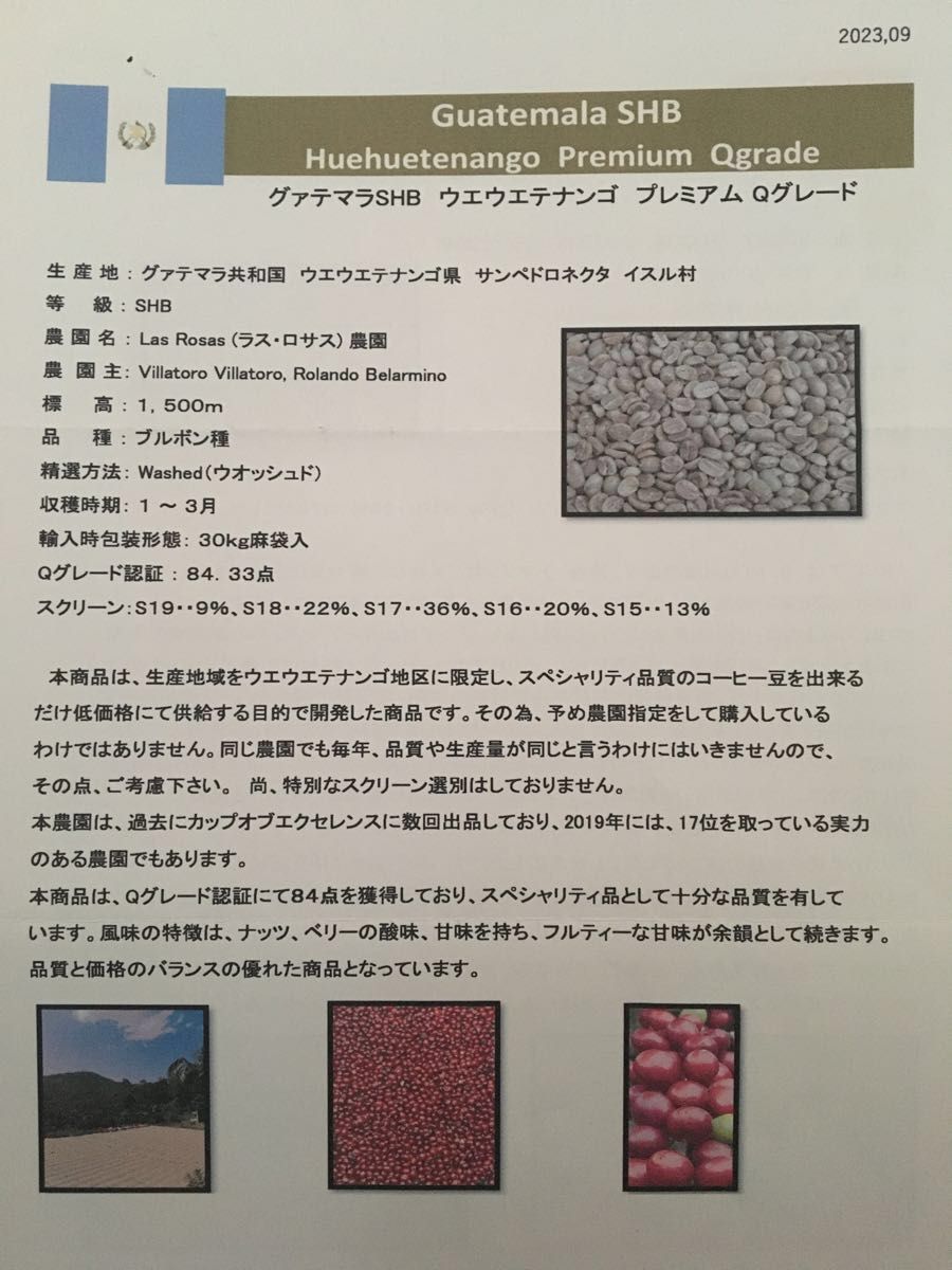 こだわりコーヒー豆　グアテマラSHB ウエウエテナンゴ　300g 中深煎り　自家焙煎珈琲　ウォッシュド　プレミアムQグレード