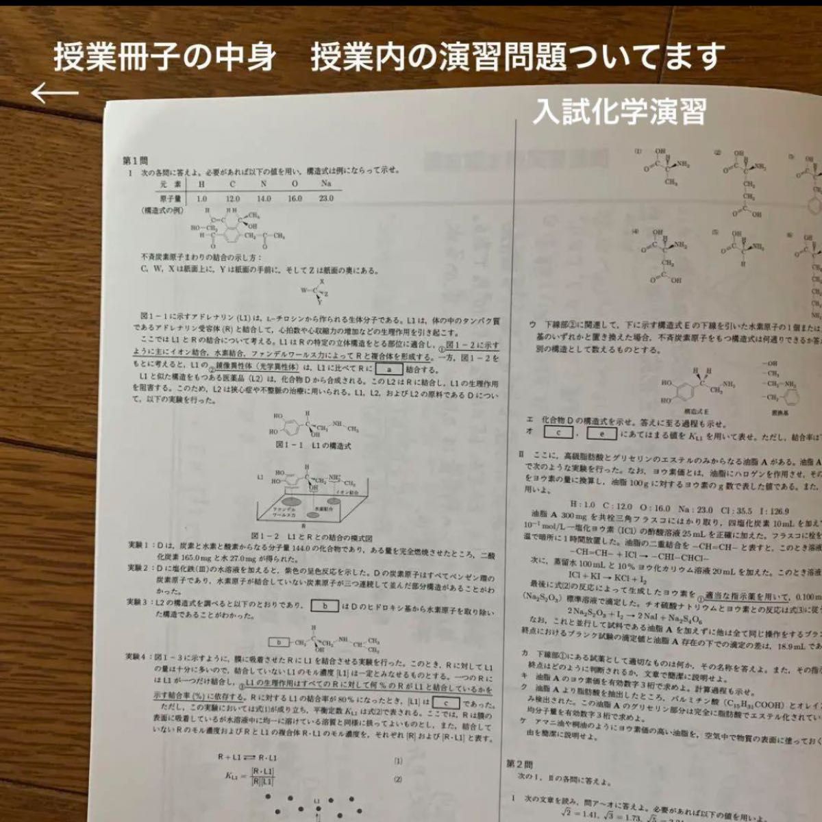 鉄緑会 高三 高3 教材 化学 飛松先生 水野先生 プリント 鉄緑会 高三 高3 教材 化学 飛松先生 水野先生 プリント