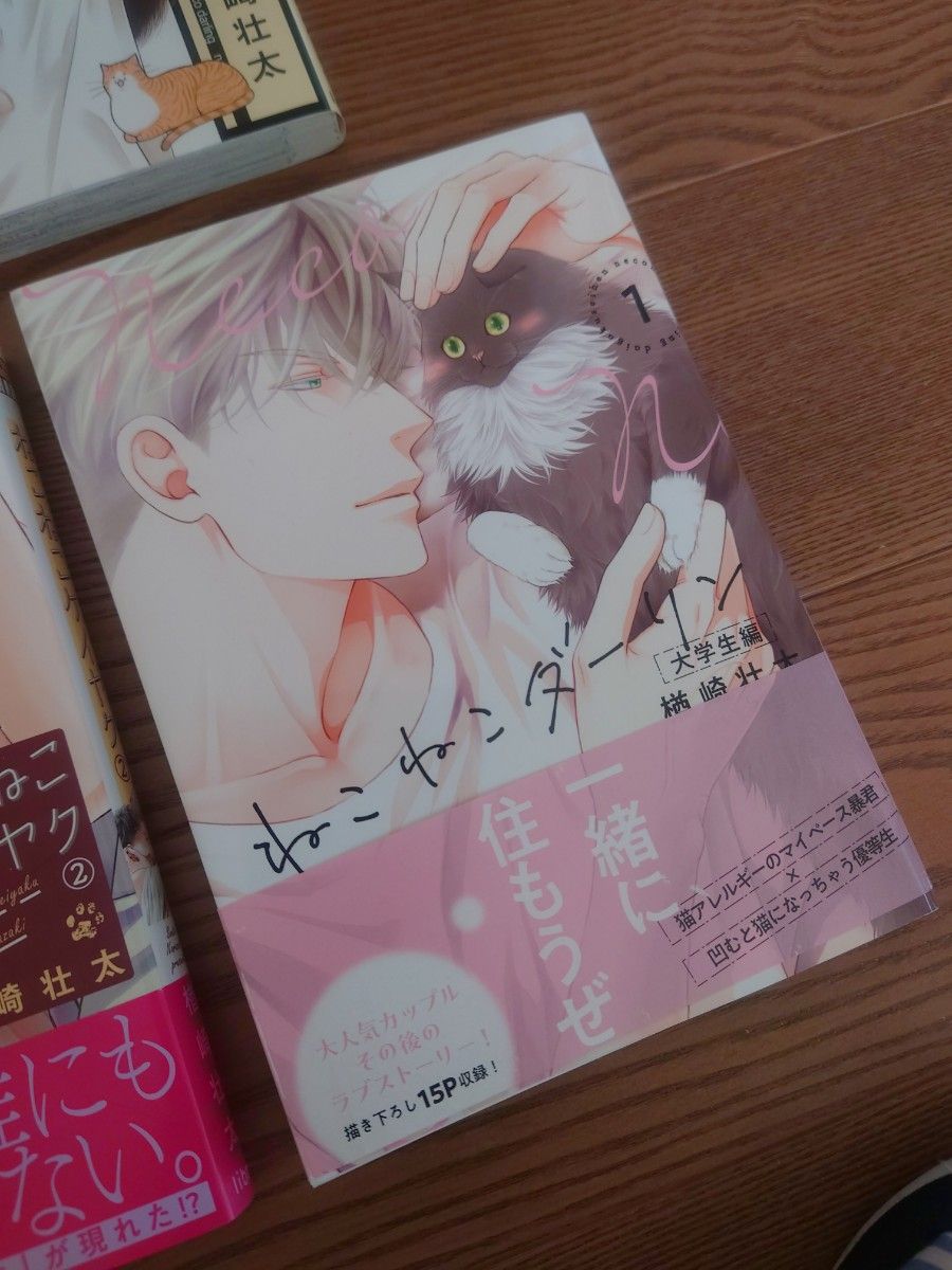 楢崎壮太　ねこねこシリーズ　10冊セット