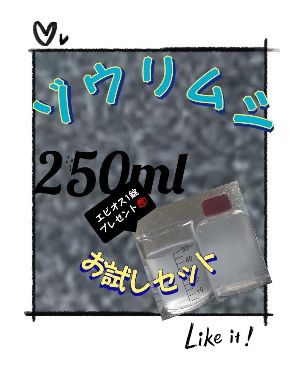 ゾウリムシ 250ml 培養 種水 お試しセット!!エビオスプレゼント