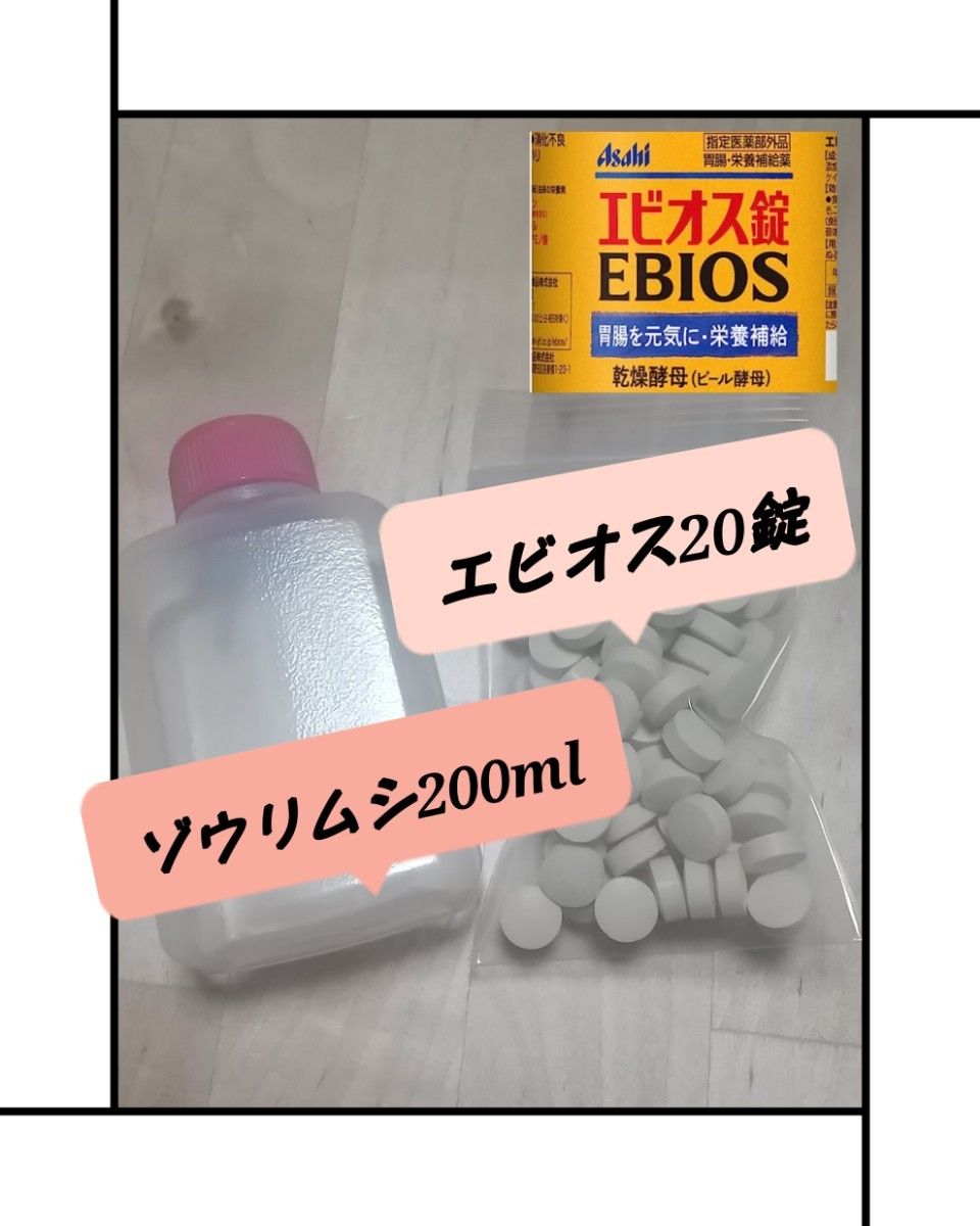 ゾウリムシ 200ml エビオス20錠 培養 お試しセット!!