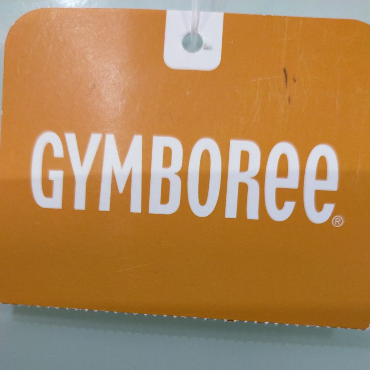 【新品未使用品】GYMBOREE　ジンボリー　Ｔシャツ　2T　タグ付　100㌢　SURF
