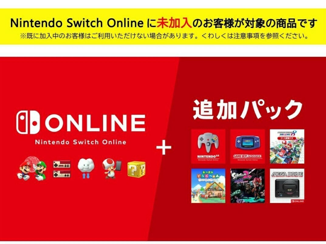 Nintendo Switch online 追加パック 12ヶ月　_画像1