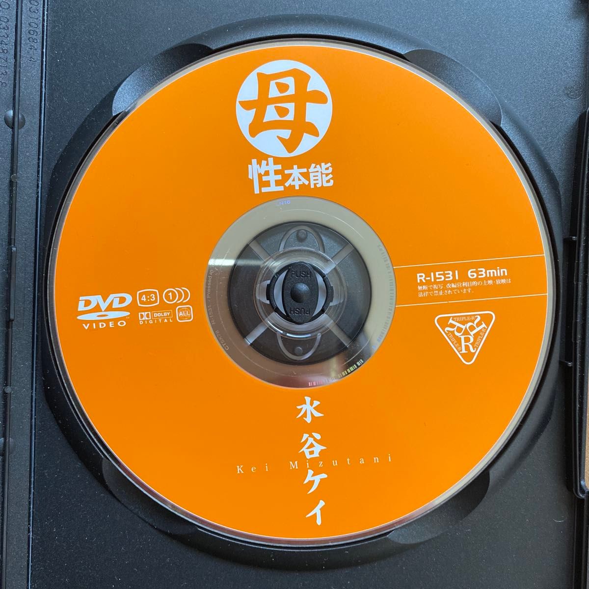 母性本能　水谷ケイ　イメージDVD