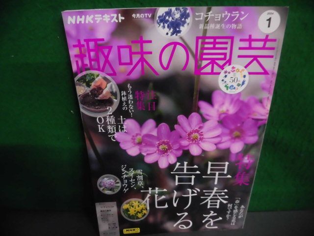 NHKテキスト趣味の園芸 2024年1月号　早春を告げる花_画像1