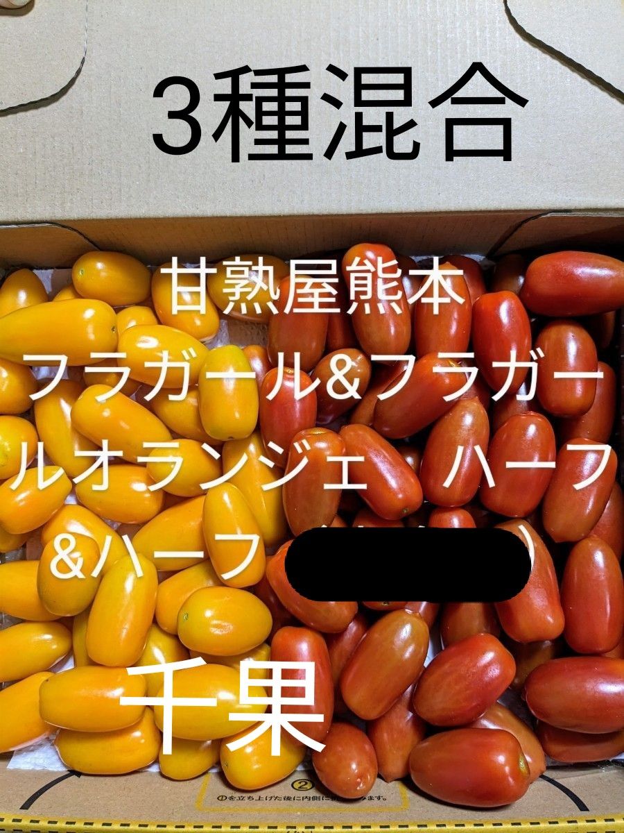 3種混合フラガールフラガールオランジェ千果ミニトマト1キロ