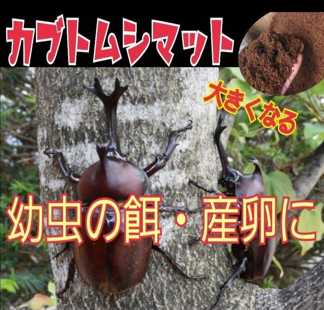 カブトムシ幼虫の餌☆栄養価抜群！改良版！ヒマラヤひらたけ発酵マット【3袋】国産カブトムシ87ミリ羽化実績！便利なチャック付き袋入り