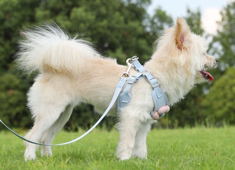 ペット用ハーネス リード付き犬 猫 小花飾り付き 可愛い 軽い 着脱簡単 洋服感覚