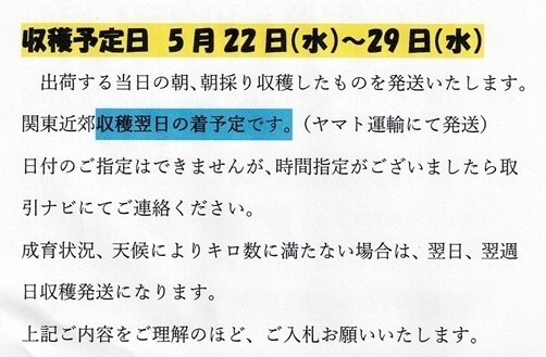 たけのこ　真竹　希少品　4.5キロセット 2024年度 【希少品限定ご予約受付中 】箱を含む5キロ以内での発送_画像6