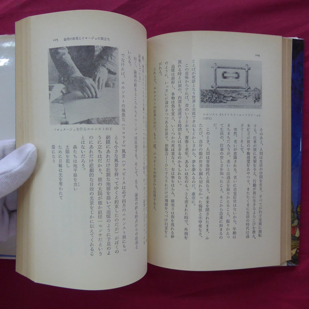 12【坂崎乙郎-ふたたび絵とは何か/河出書房新社・1978年】エルンストの眼/デルボーの女たち_画像10