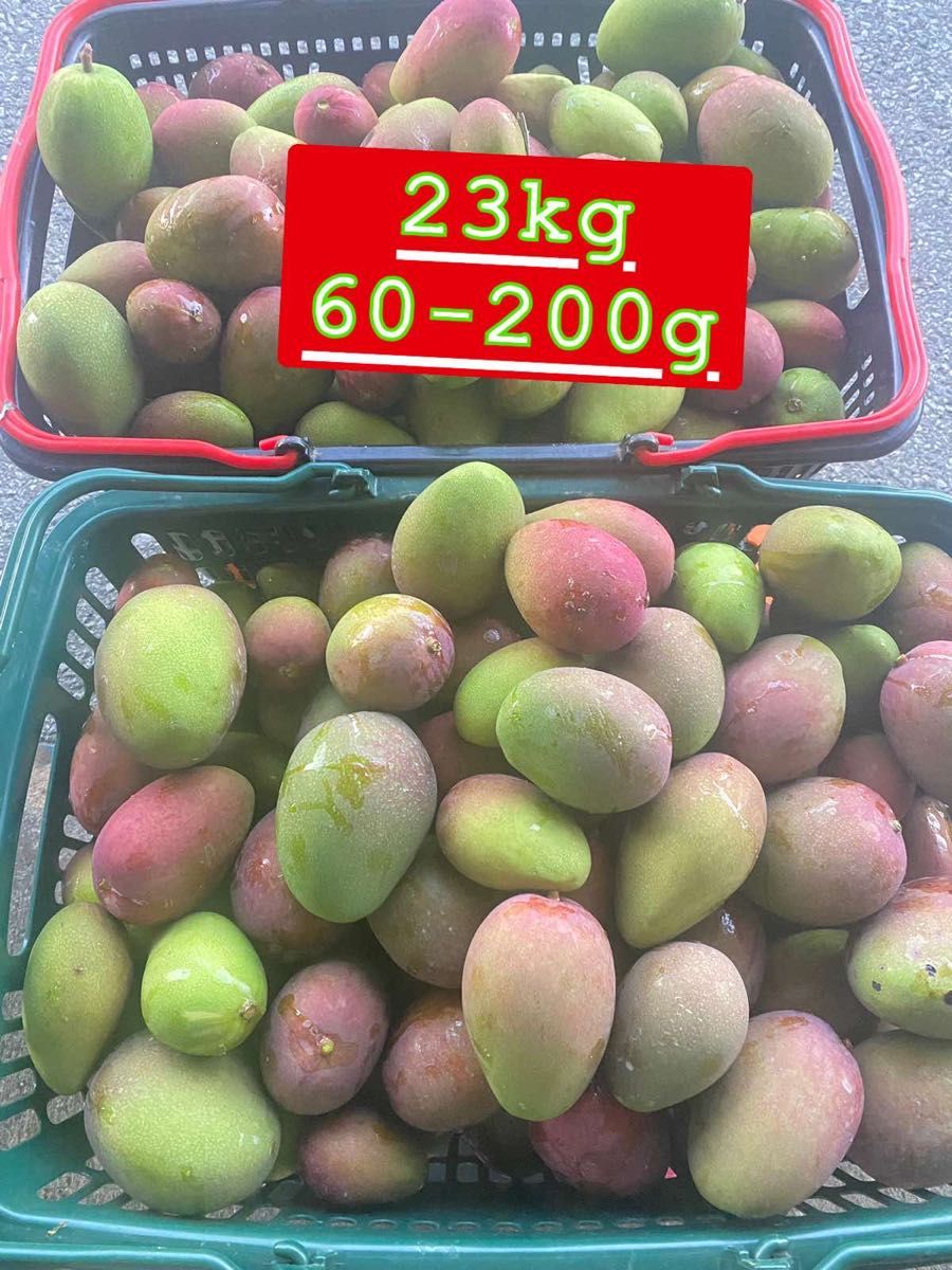 沖縄県産の摘果マンゴーです。約23kg
