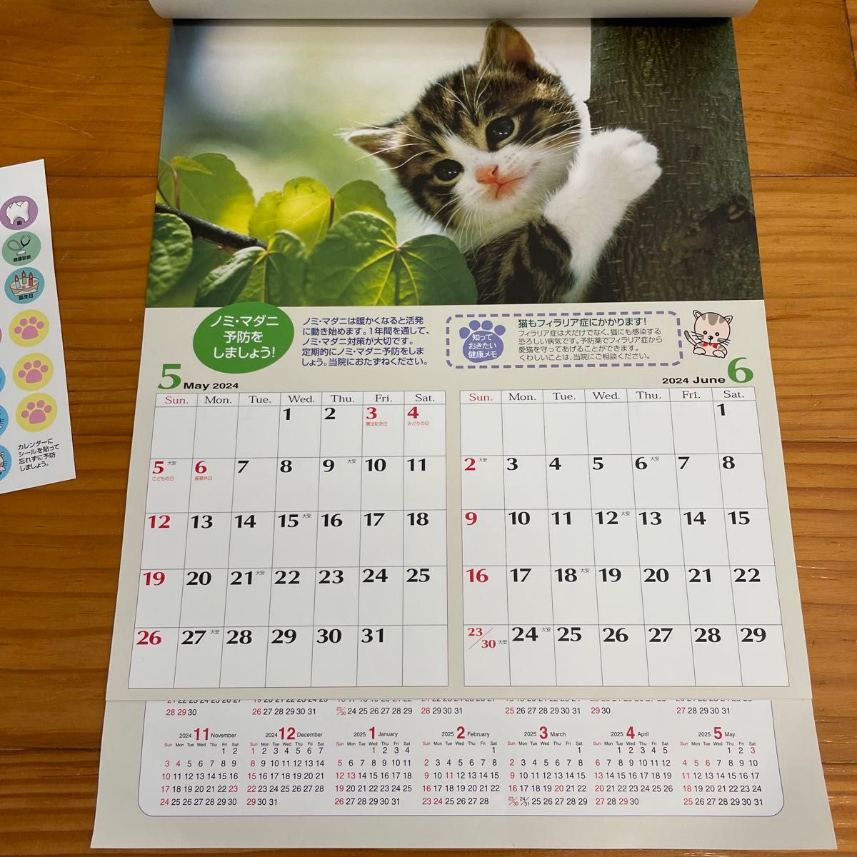 2024年5月始まりカレンダー　猫