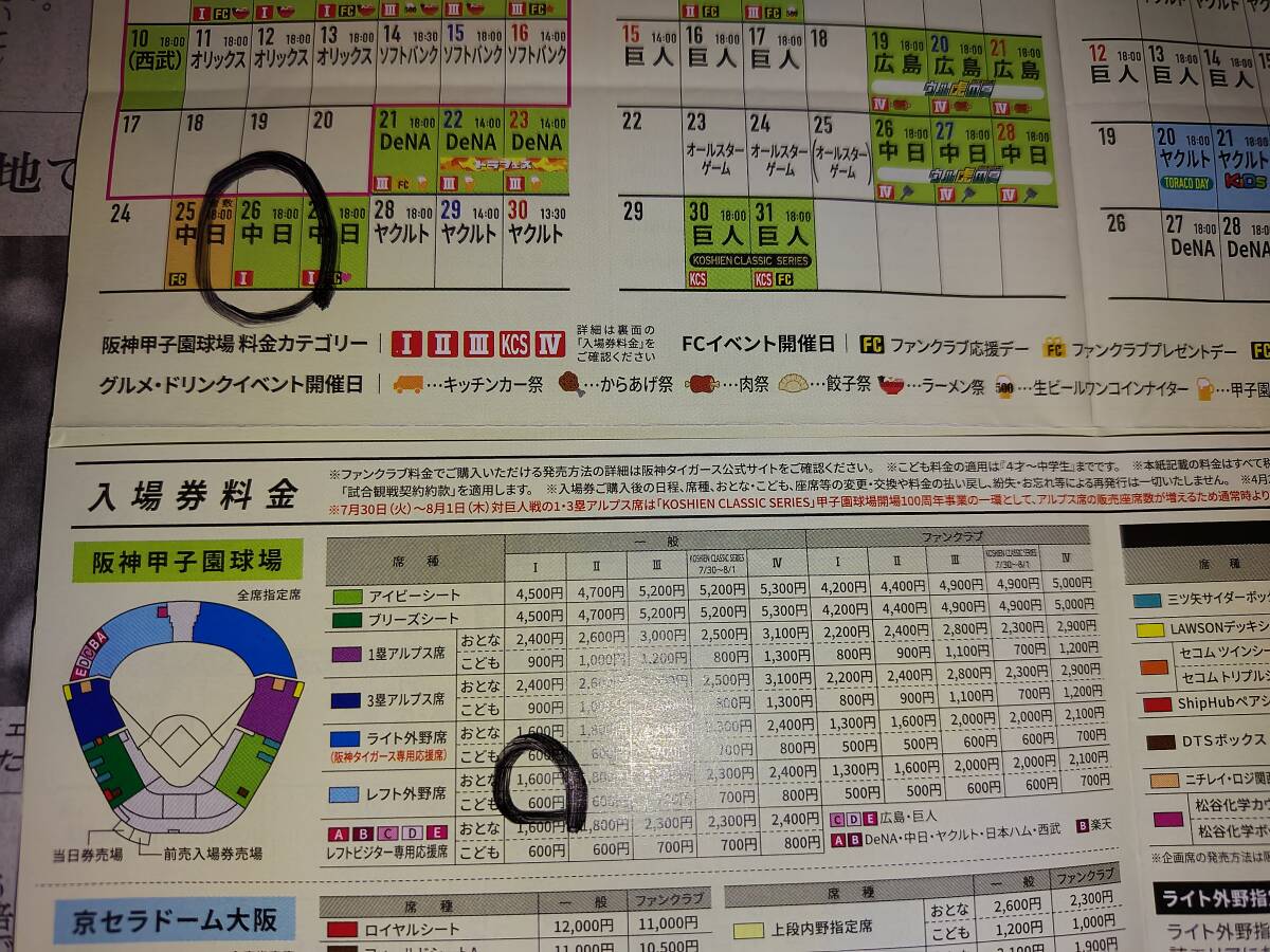 ６月２６日（水） １８時試合開始 阪神タイガースvs中日ドラゴンズ 阪神甲子園球場レフトペア席 ハローキティ みんななかよくナイター」_画像3