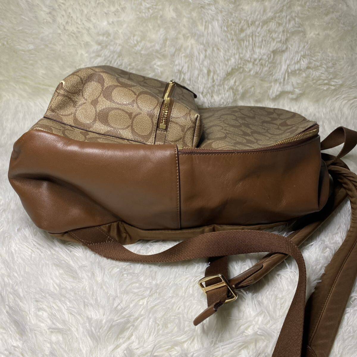 [ beautiful goods ] Coach coach signature leather rucksack backpack rucksack PVC Brown Day Pack F58314 beige 