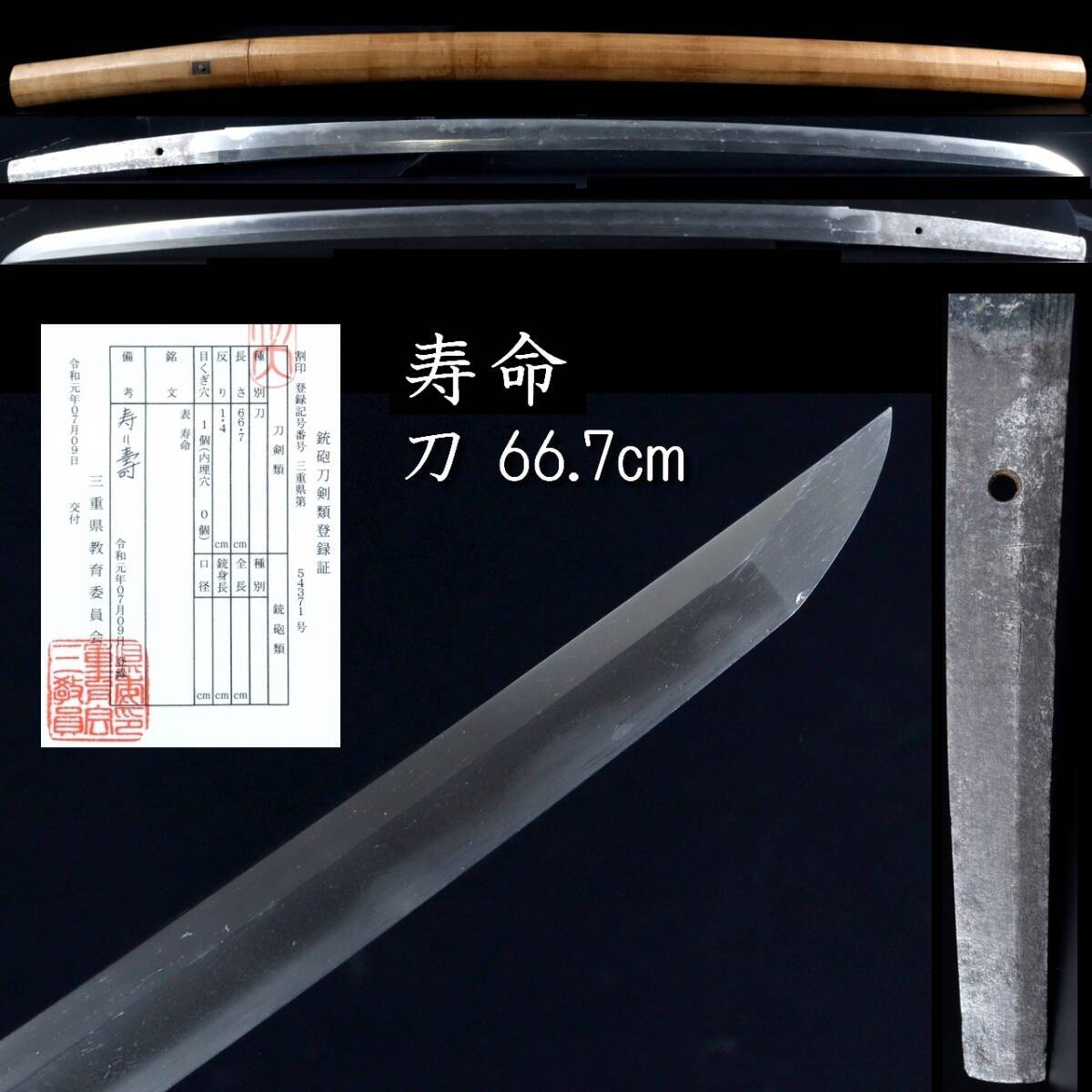 ◆楾◆2 鎌倉時代 寿命 刀 66.7cm 刀剣武具骨董 [G233]Ve/24.4廻/TB/(140)_画像1
