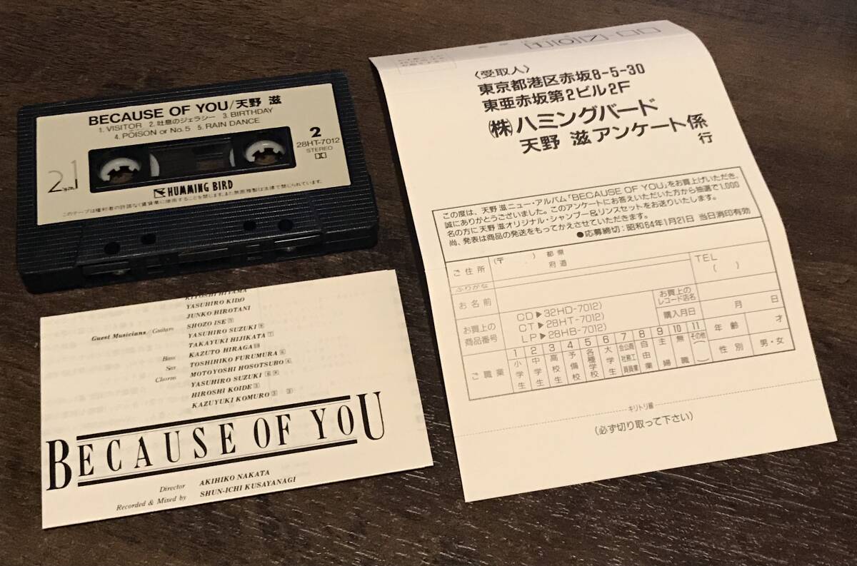 レア　カセットテープ　天野滋 「 BECAUSE OF YOU / ビコーズオブユー 」　検索：EP LP CD NSP ニューサディスティックピンク_画像6