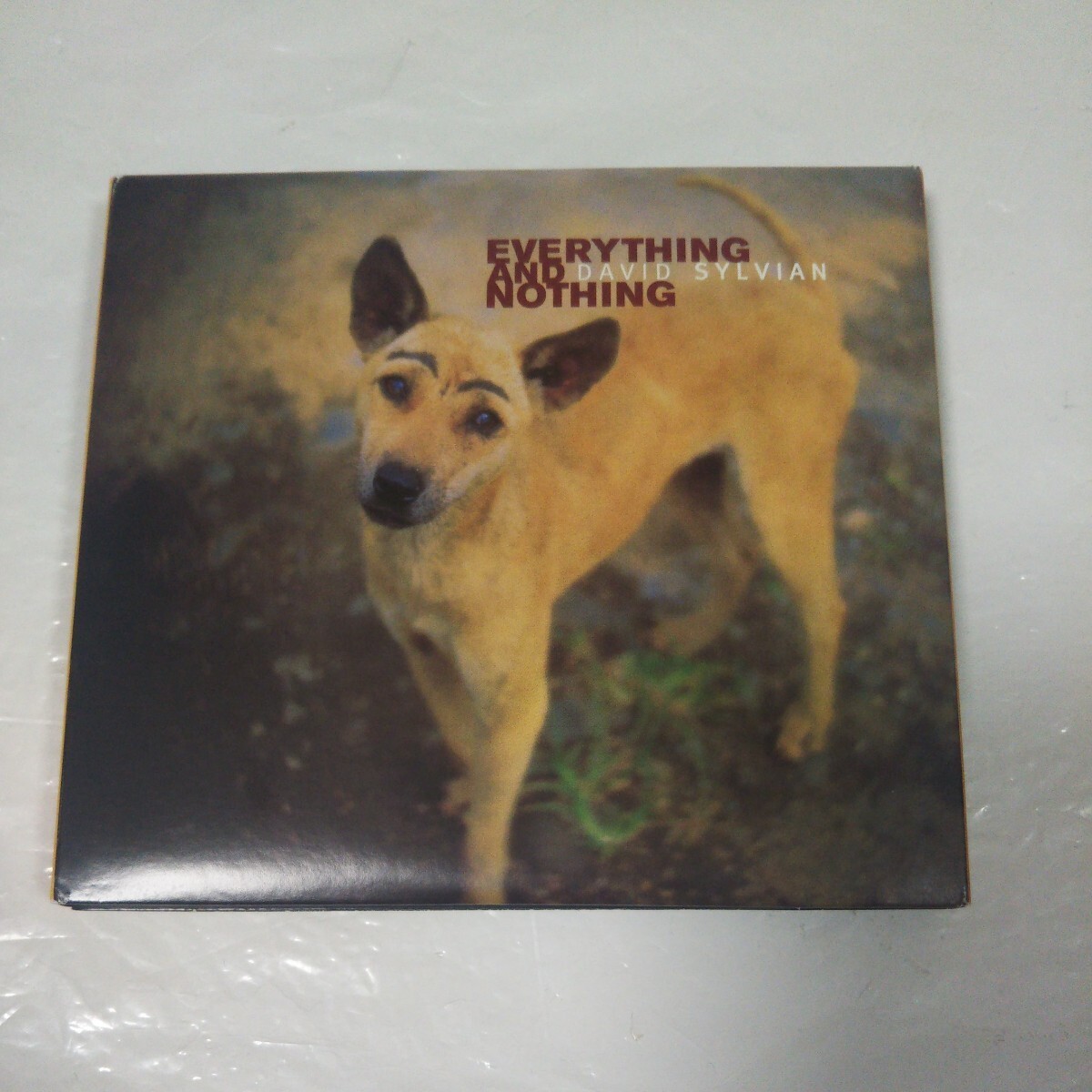 デヴィッド・シルヴィアン／Everything And Nothing (DAVID SYLVIAN、ジャパン、Japan)