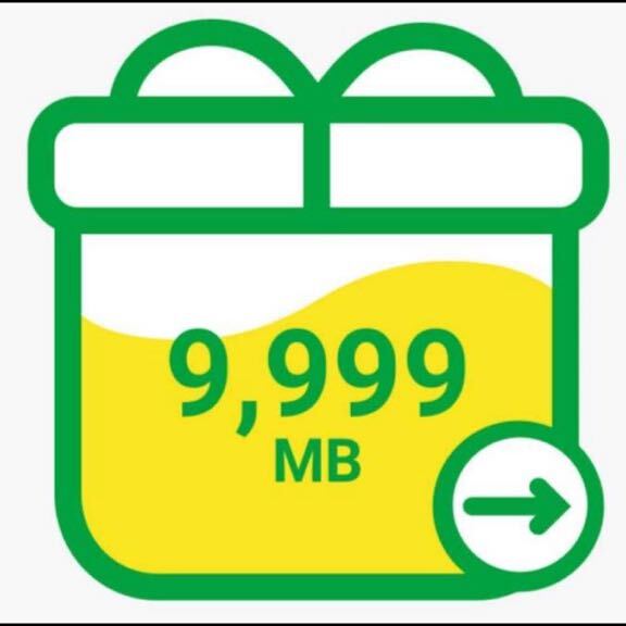 [ скорость соответствует ]mineo пачка подарок примерно 10GB(9999MB) (130)