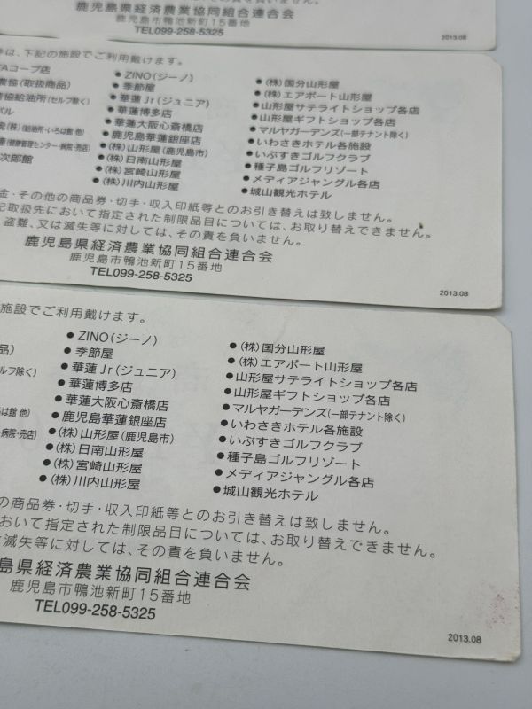 53 未使用 1円～ 商品券 鹿児島県経済連 総額8000円分 1000円×8枚 ギフト券 ギフトカード まとめ 8枚セット_画像8