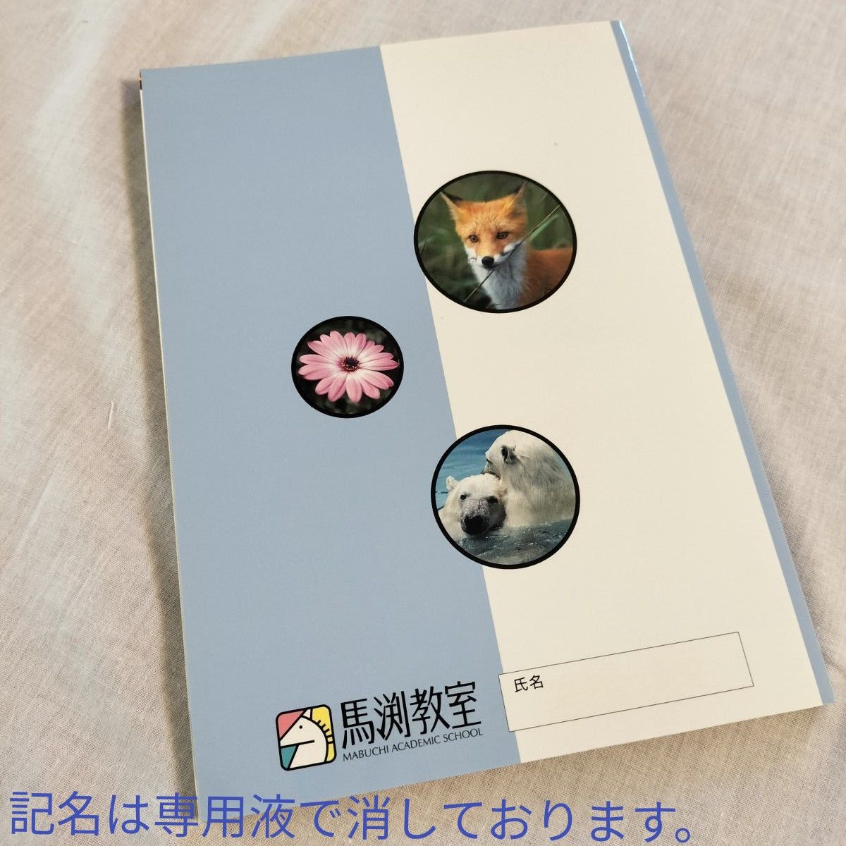 ★中古美品★馬渕教室 中学理科資料集 参考書 高校受験