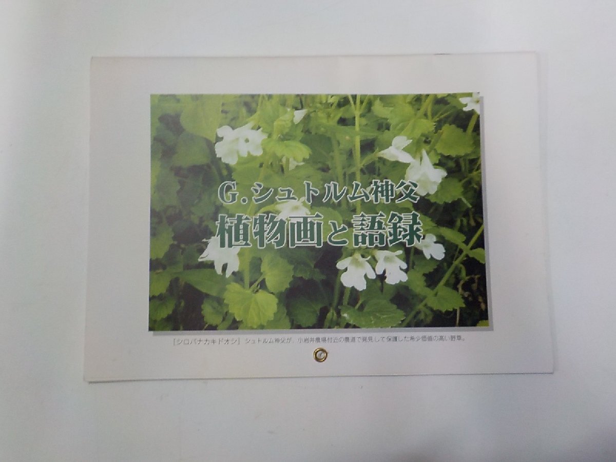 1E0393◆植物画と語録 G.シュトルム神父 Waの会(ク）_画像1