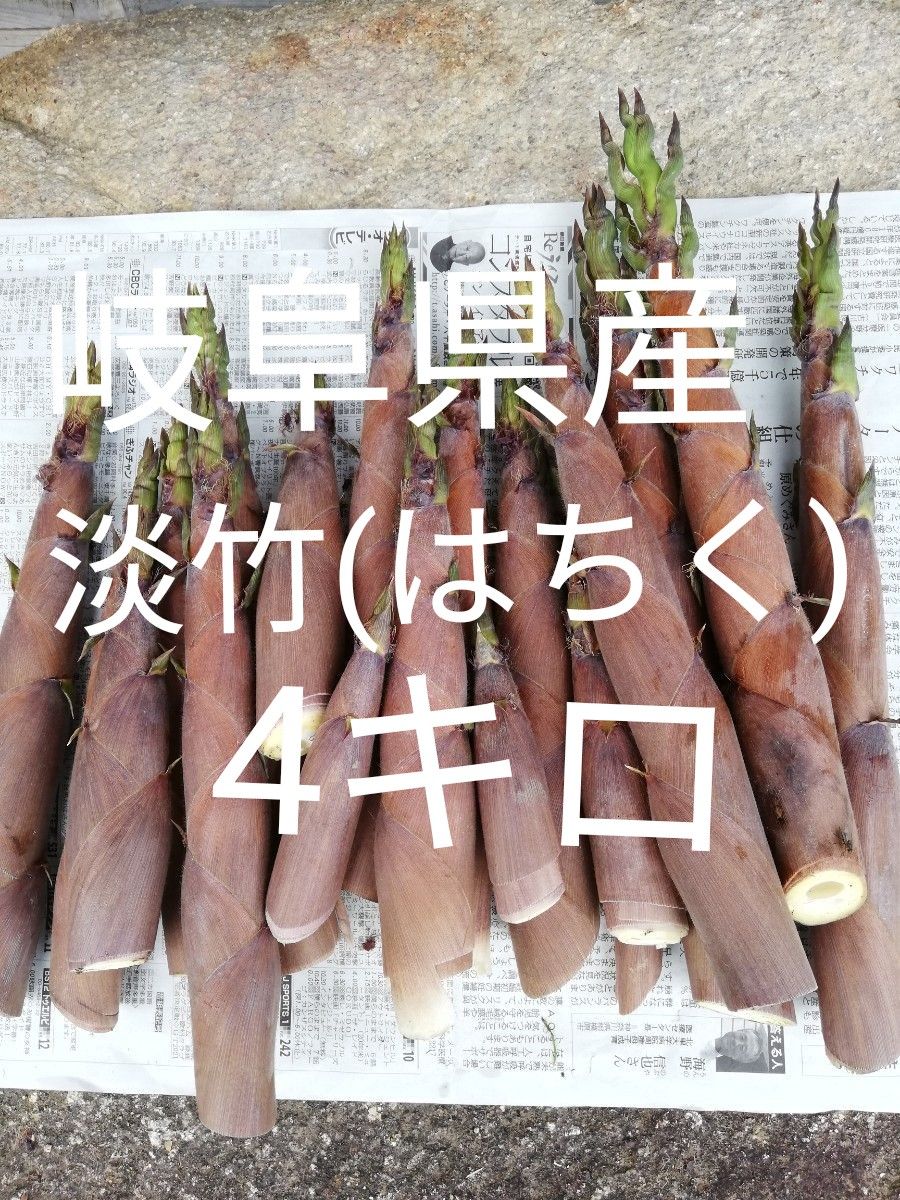 岐阜県産淡竹(はちく)4キロ たけのこ採れたて無農薬