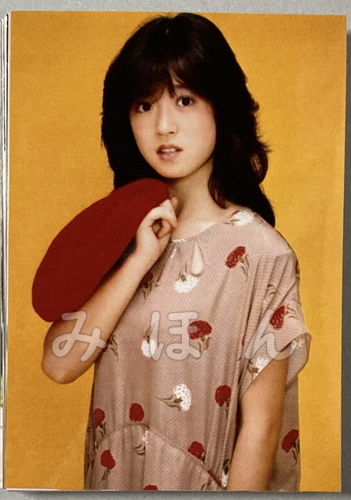 * Nakamori Akina Showa era idol L stamp photograph 50 pieces set 