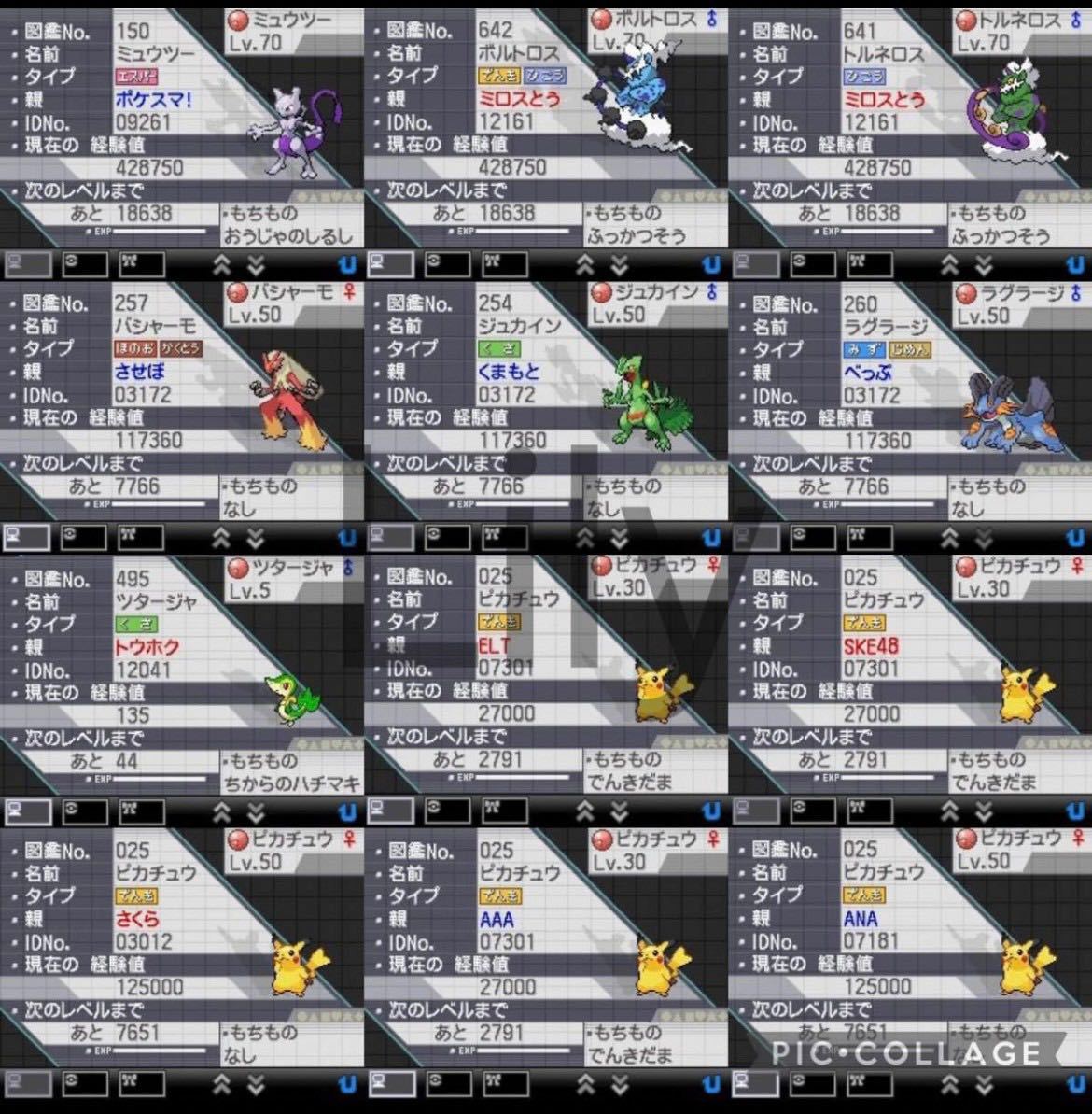 【ポケモン】ホワイト2 配信 6vメタモン付き 道具完備 ポケットモンスター最強データ 3DS ソフト_画像7