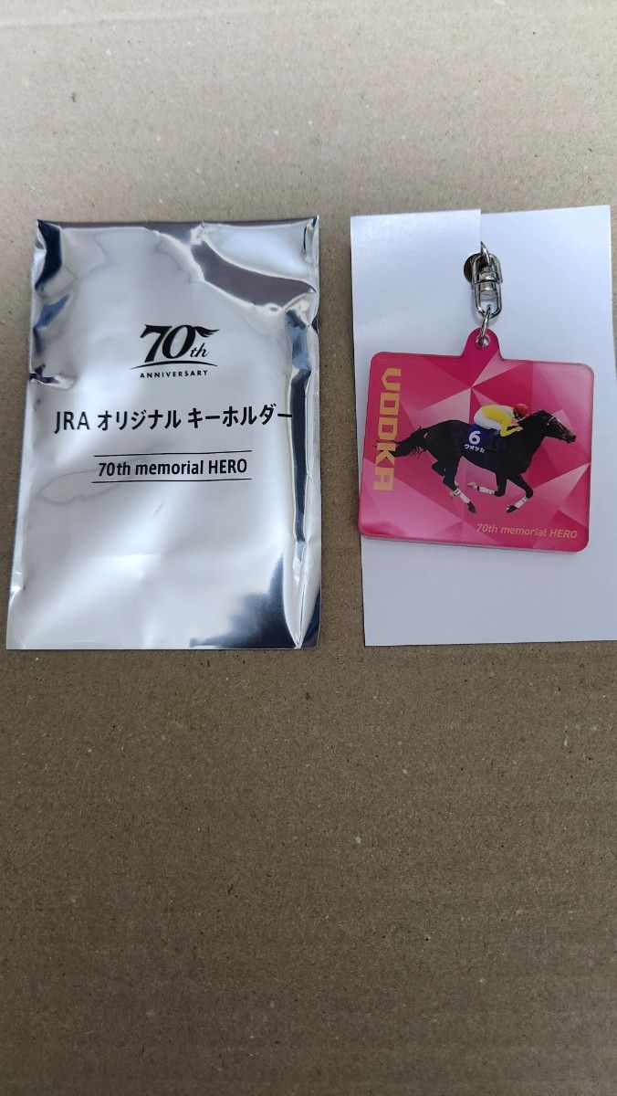 日本ダービー Welcomeチャンス特別版 ウェルカムチャンス賞 JRA welcome チャンス 日本ダービー特別版 ウエルカムチャンス