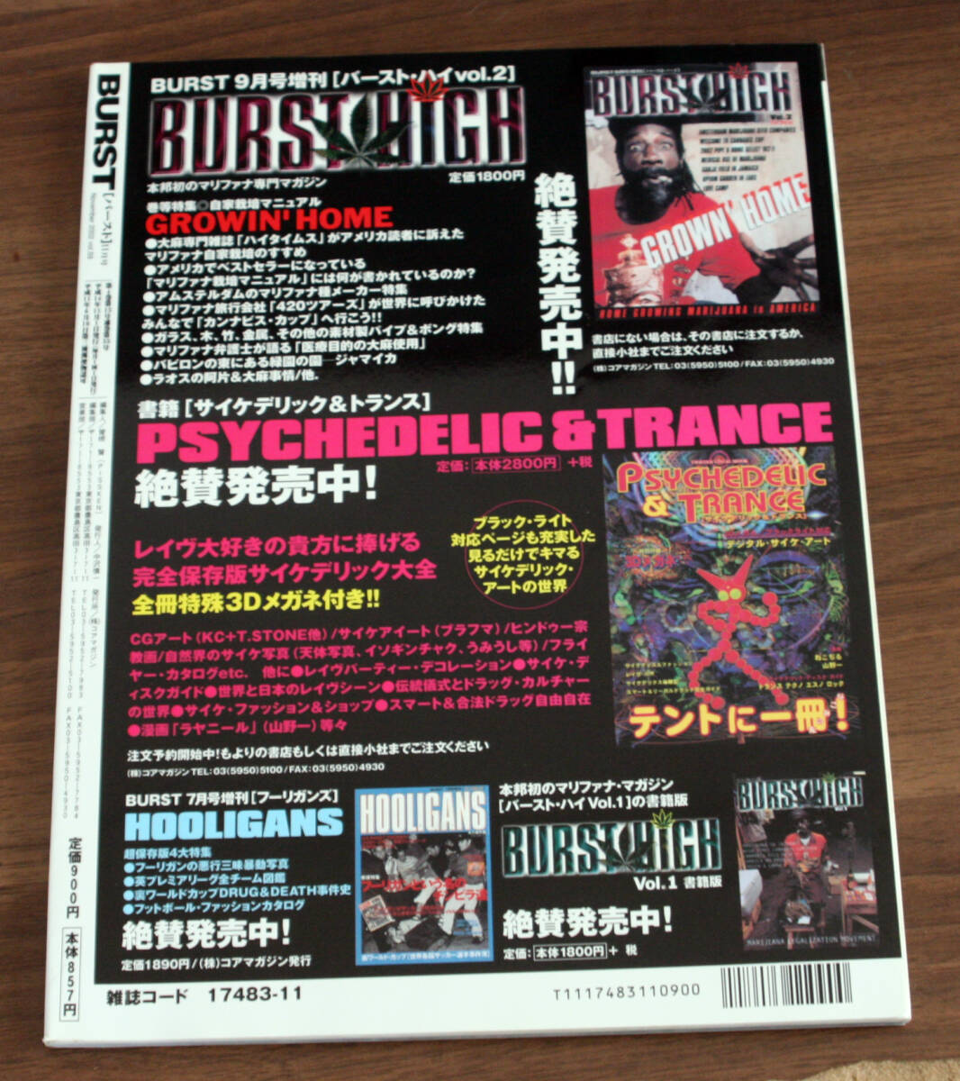 BURST バースト 2002年11月号 vol.59 / Yokoyama Sakevi's Deasign COMPLETE ＋stITH、鳥肌実/ GISM, Punk, Hardcore タトゥー, ハードコア_画像6