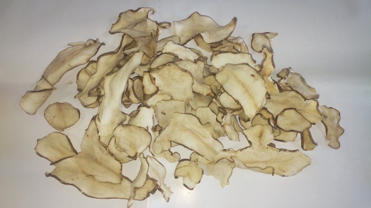 菊芋チップス １００ｇｘ２袋 自家製 無農薬 化学肥料不使用 国産菊芋使用