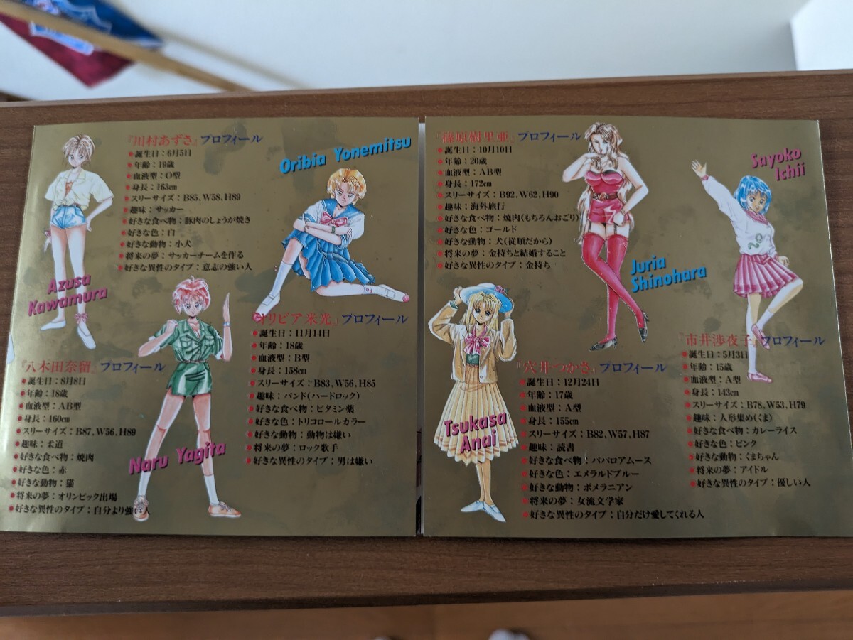 PCエンジン CD-ROM 美少女雀士アイドルパイの画像3