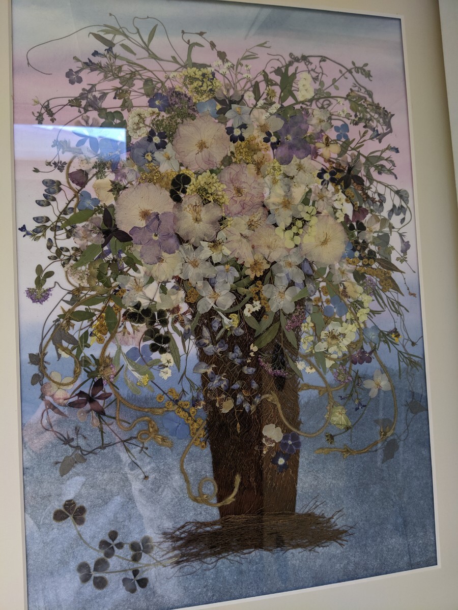 24M05-55N: [.... flower club ] pressed flower amount pressed flower flower art frame 60 49 49 36 22