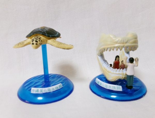 沖縄 美ら海水族館　カプセルフィギュア コレクション　２種セット　アオウミガメ　サメ博士の部屋_画像1