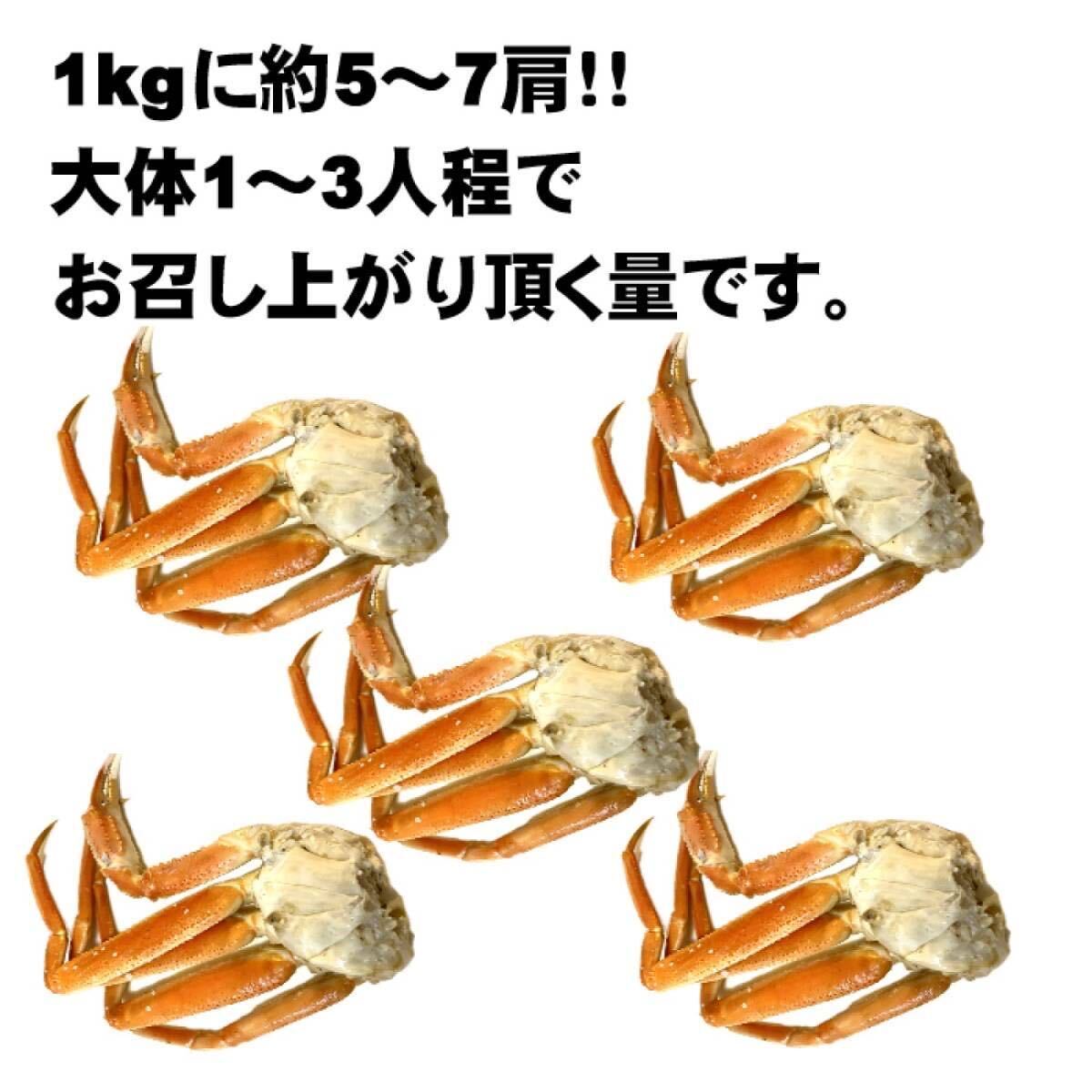 【訳あり】ずわいがに　1ｋｇ　小型肩脚　ボイル済み　アラスカ産やロシア産原料　足折れ・不足有り　ボイル　冷凍　ズワイ　ずわい　蟹_画像3