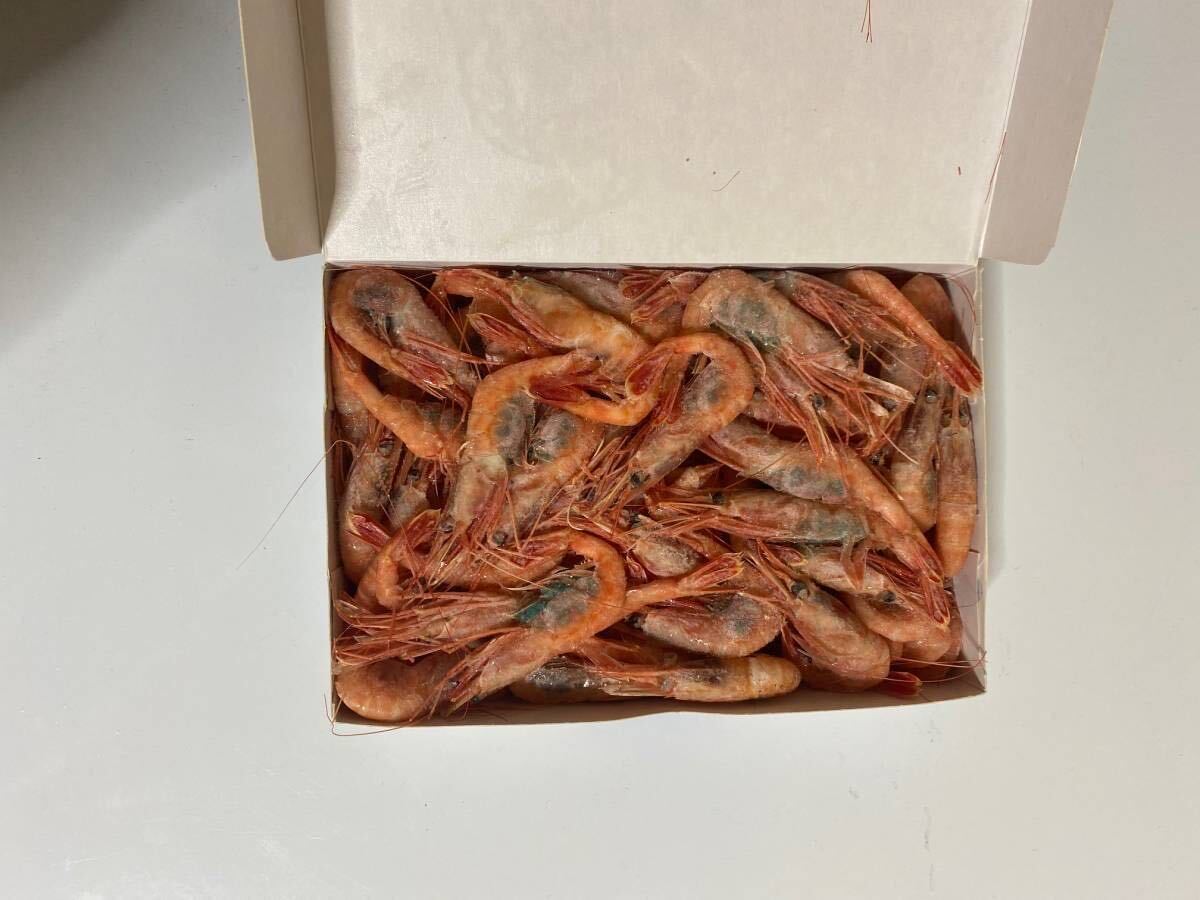 [ great special price!!]... enough 1kg freezing . sashimi for . sea .ama shrimp south ..... shrimp Mother's Day Father's day Bon Festival gift year-end gift 