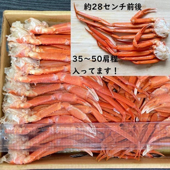 【訳あり！大特価！】　北海道産　紅ずわい肩　約36～50肩（5㎏）入れ　Sサイズ　ズワイ蟹　ずわい　コロナ応援　冷凍　かに_画像4