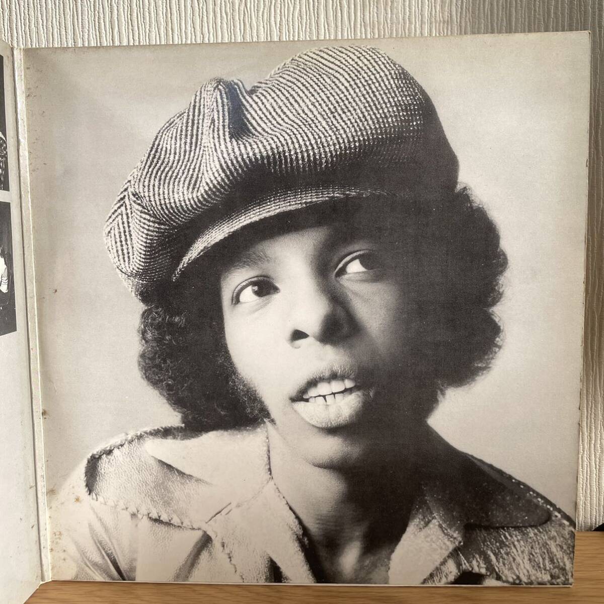 SLY & THE FAMILY STONE FRESH レコード