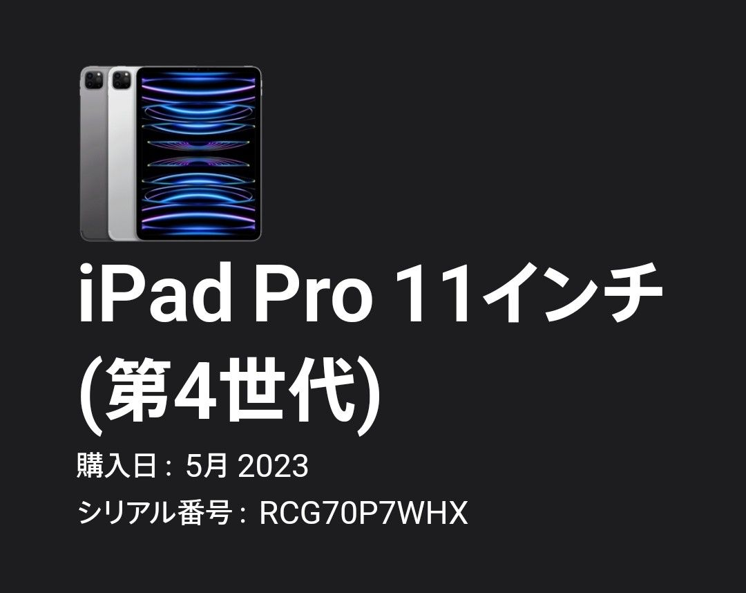 iPad Pro 11インチ 第4世代 256GB Wi-Fi