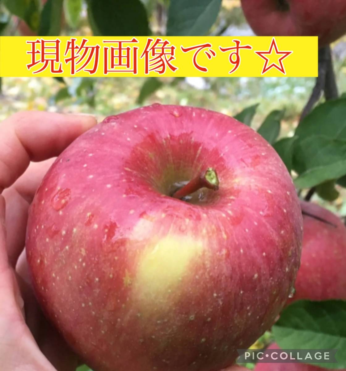 * есть перевод превосходящий товар ** Aomori производство .... много 15~18 шар входить коробка *.. яблоко Fuji яблоко *