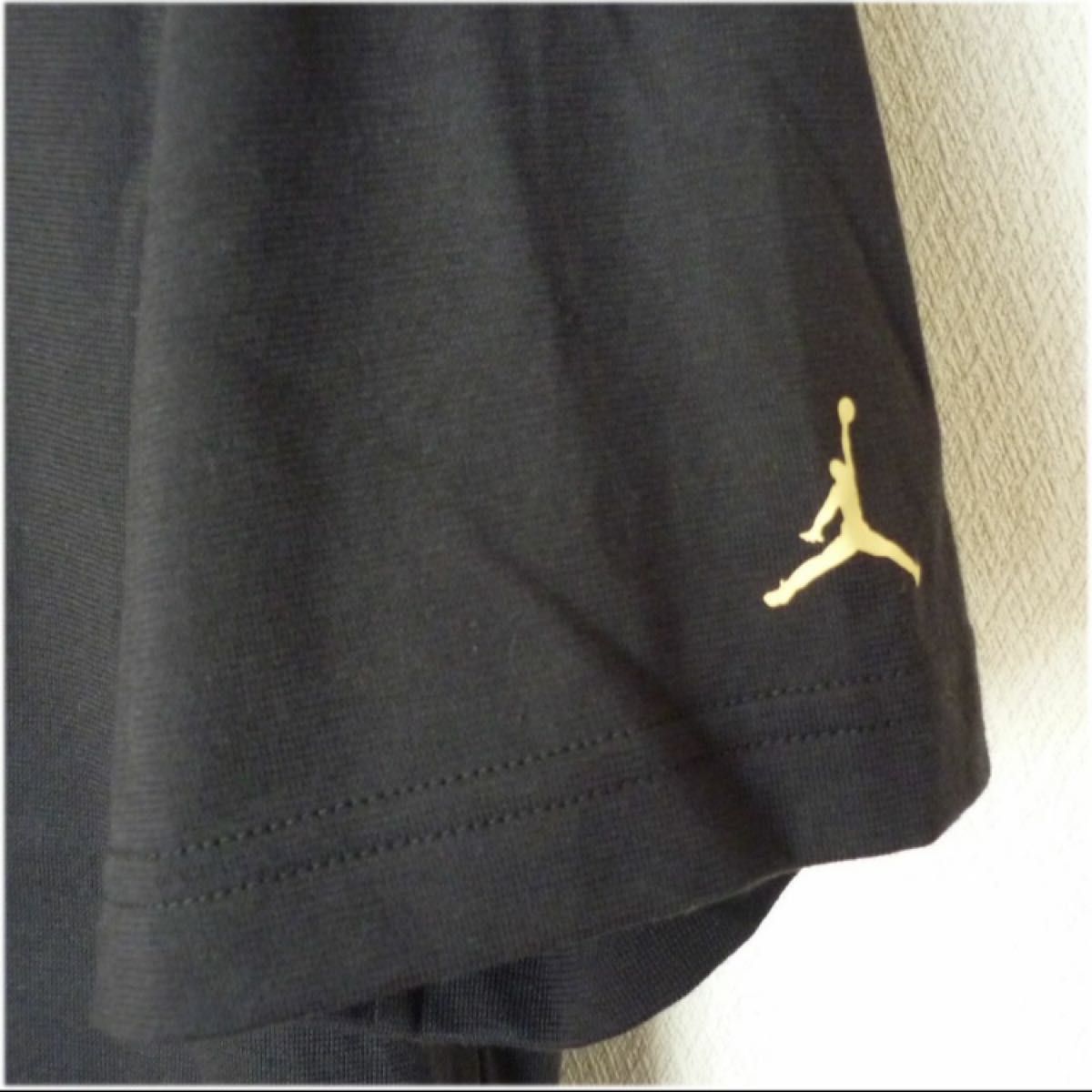 新品XL ナイキ NIKE ロゴJODANメンズTシャツ/亀/海ジョーダン 新品XL ナイキ NIKE ロゴJODANメンズTシャツ/亀/海ジョーダン