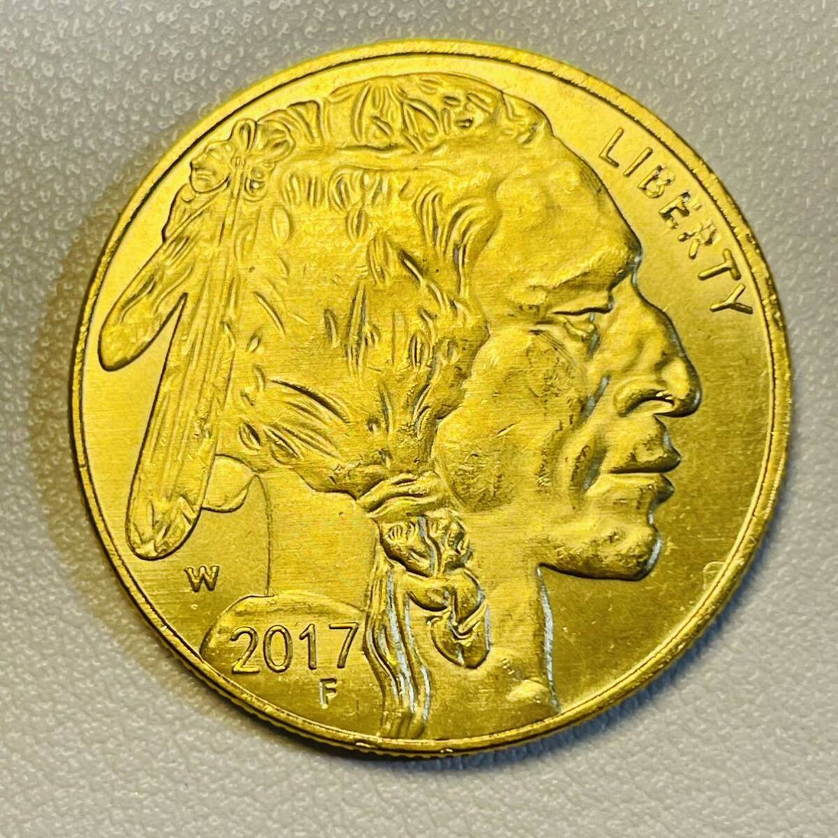 アメリカ 硬貨 古銭 アメリカン・インディアン 2017年 セントラルパーク動物園 水牛 ブラックダイヤモンド コイン 重15.40g_画像1