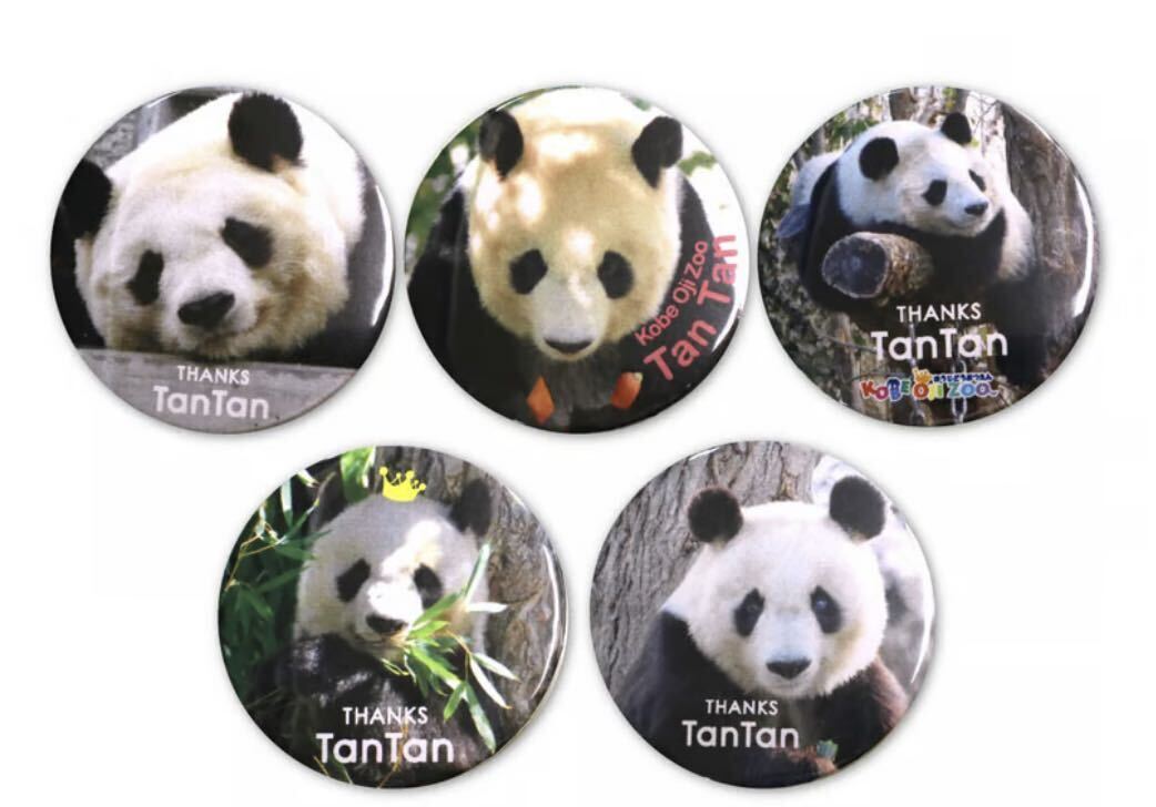 新品 タンタンセット 神戸市王子動物園 パンダ|Yahoo!フリマ 新品 タンタンセット 神戸市王子動物園 パンダ|Yahoo!フリマ