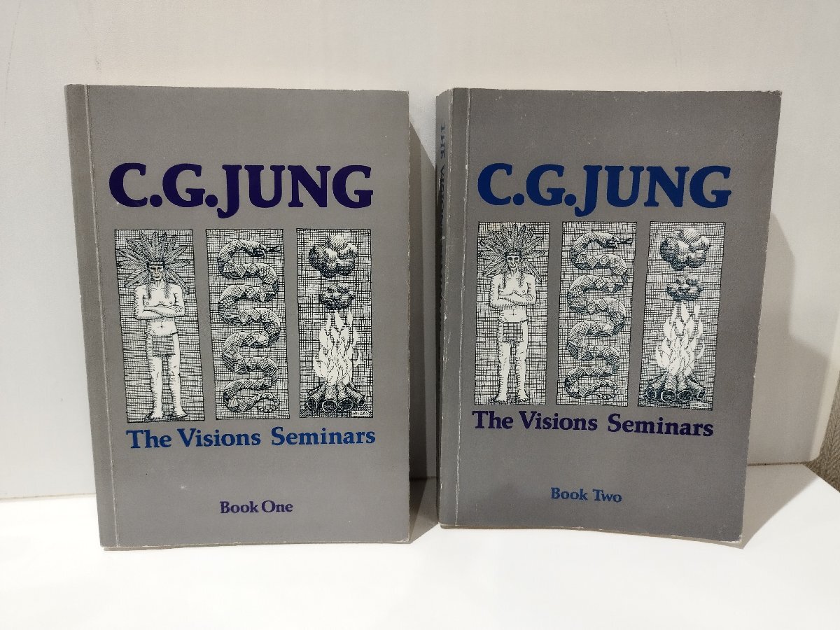 欲しいの 【希少/まとめ/全2巻セット】The Visions Seminars C.G.Jung ヴィジョン.セミナー カール・グスタフ・ユング 洋書/英語/心理学【ac01t】 心理学