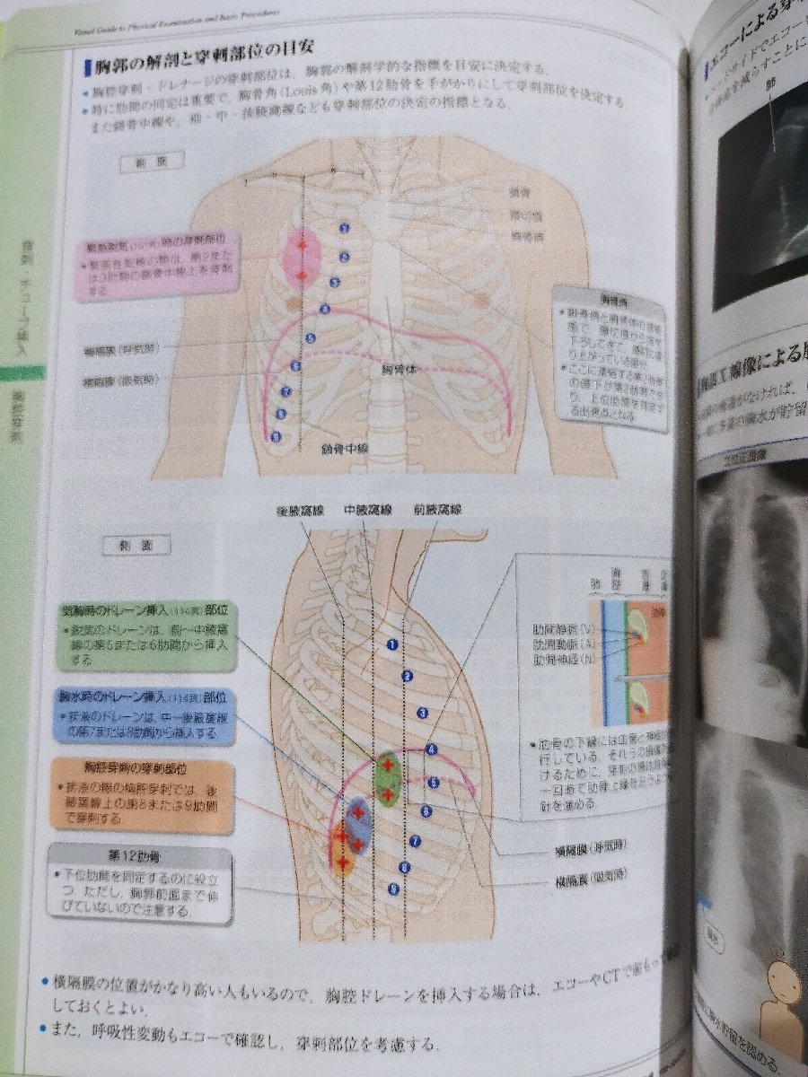 examination . hand .....vol.2. student /../ medical care / cover lack of [ac07d]