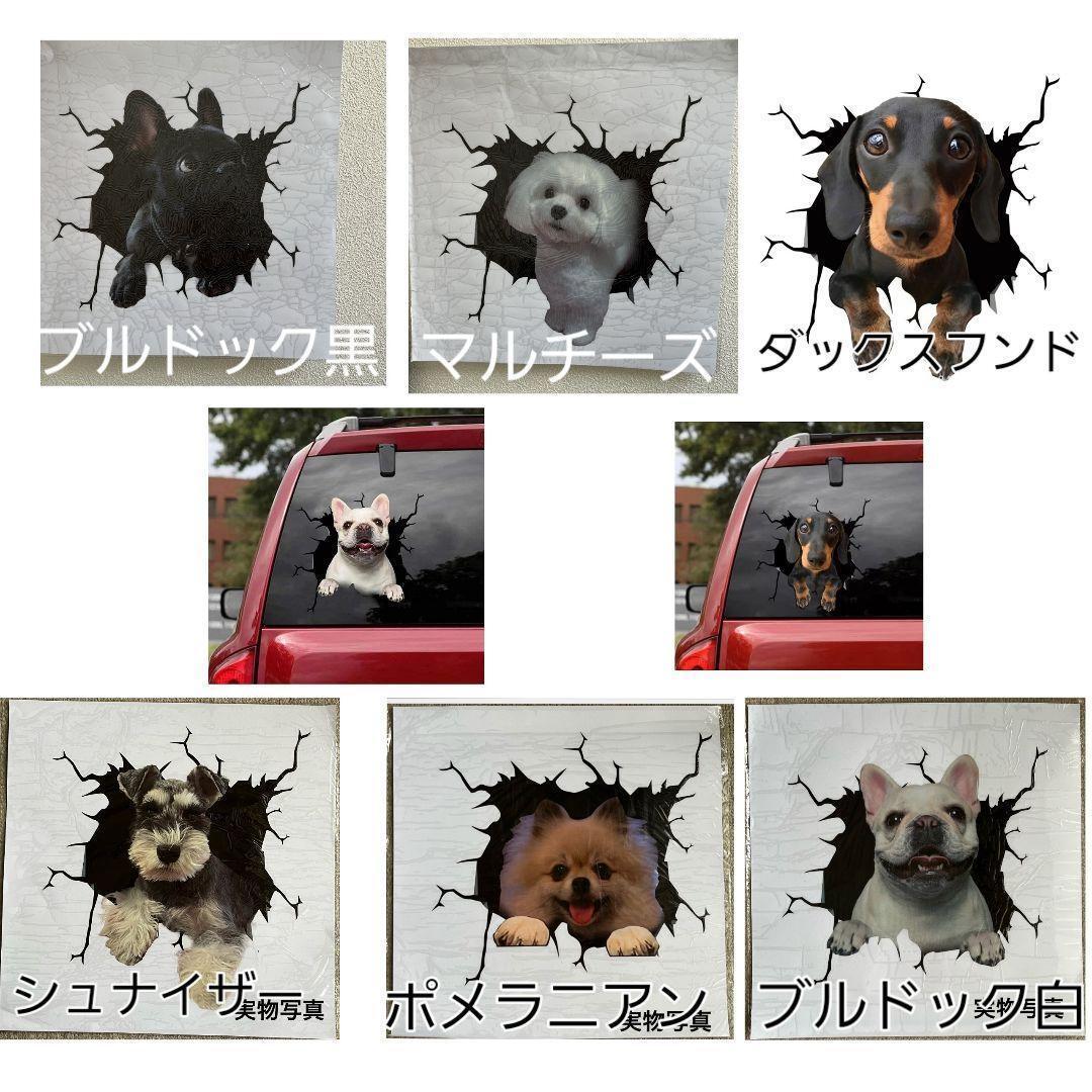 3Dステッカー　車　犬　可愛い　面白いステッカー ダックス シール カー用品　ダックスフント　ダックスフントステッカー　飛び出す