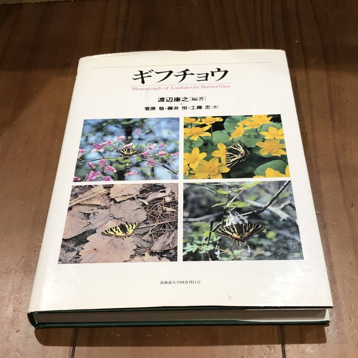 ギフチョウ　渡辺康之　北海道大学図書刊行会　署名入り　1996年　【53】_画像1