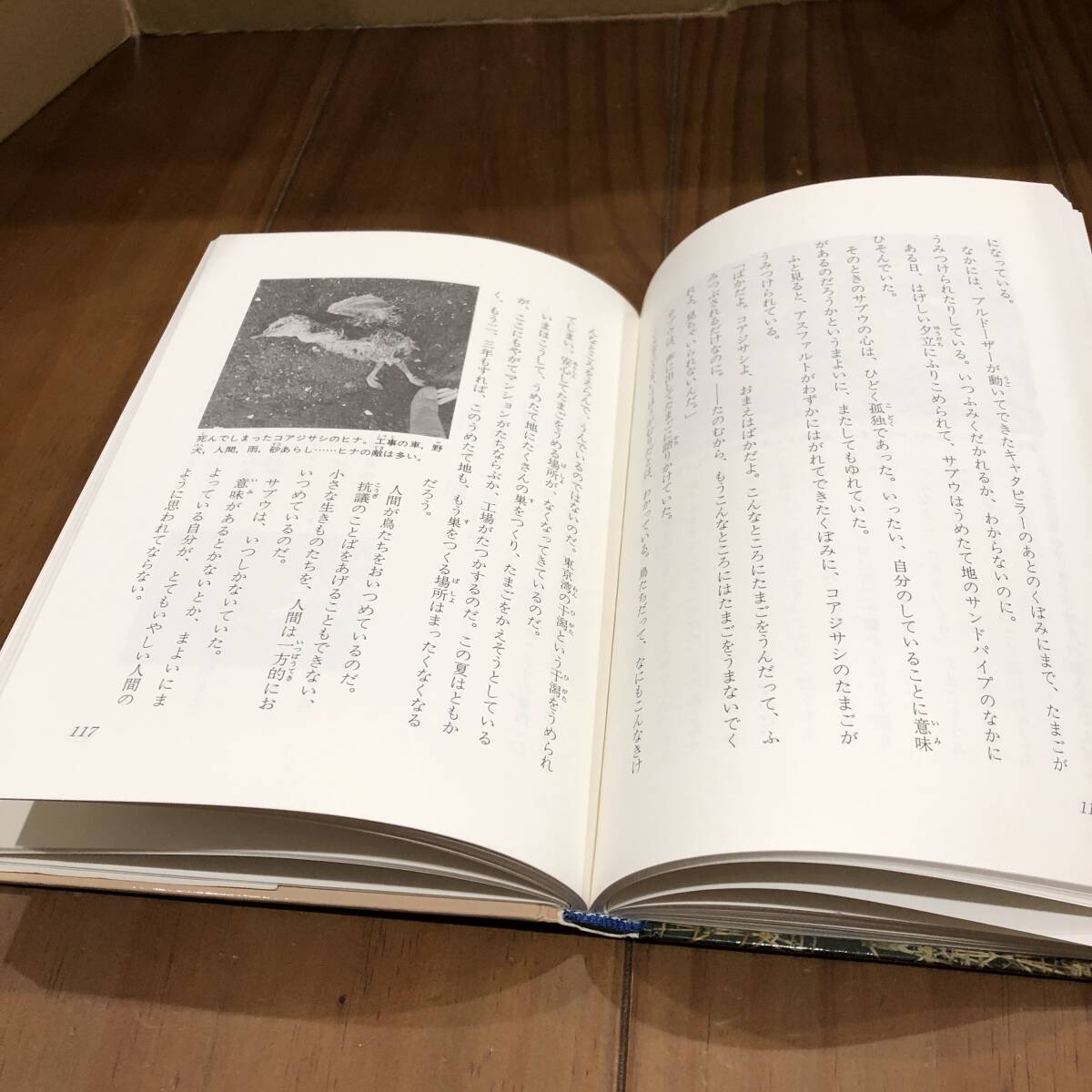 どろんこサブウ 谷津干潟を守る戦い　松下竜一　講談社　1990年　【53】_画像9